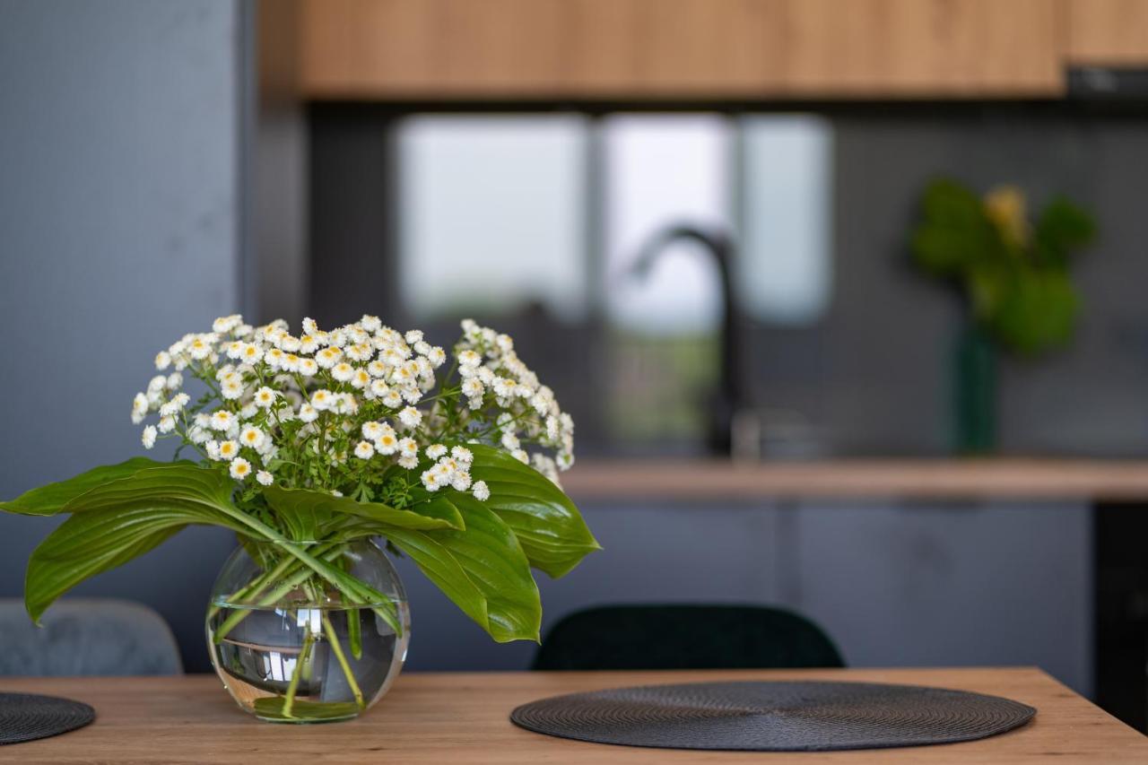 Apartament No 34 Green - Holiday Home 扎托尔 外观 照片